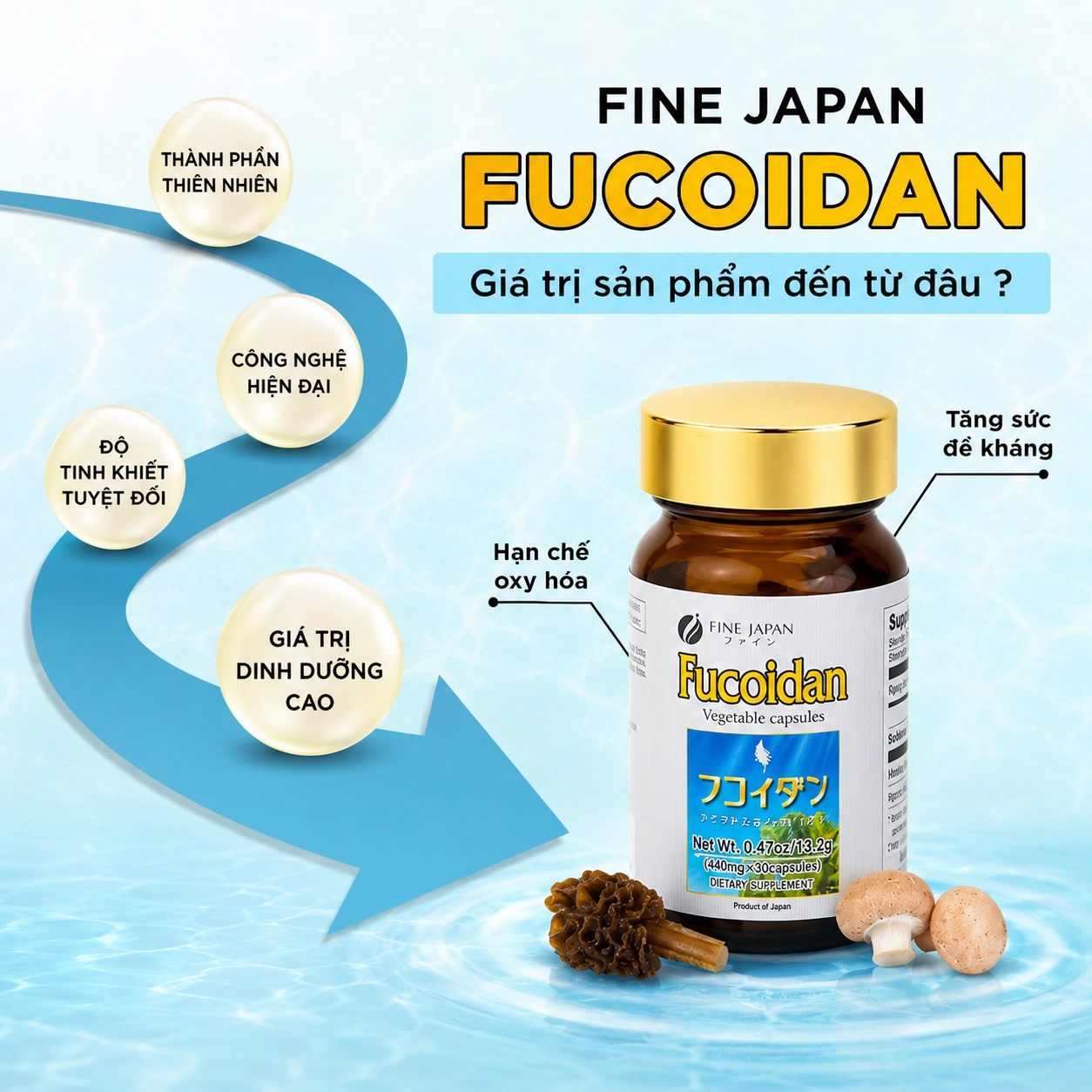 Combo 6 hộp Viên uống hỗ trợ điều trị ung thư Fine Japan Fucoidan - 30 viên						