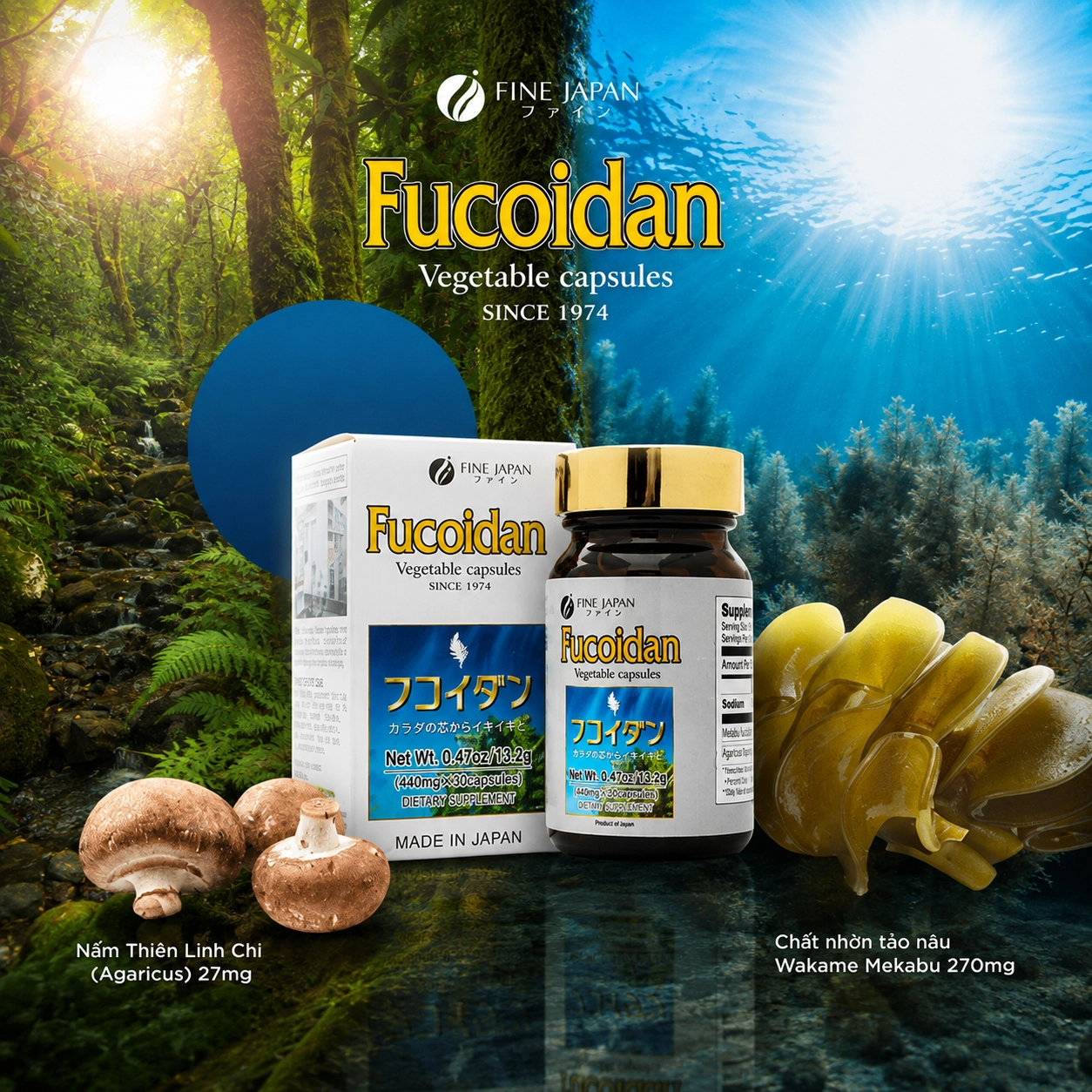Combo 6 hộp Viên uống hỗ trợ điều trị ung thư Fine Japan Fucoidan - 30 viên						