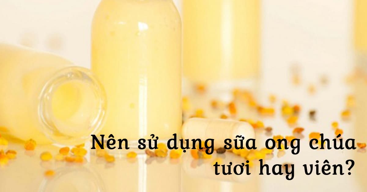 Nên sử dụng sữa ong chúa tươi hay ở dạng viên là tốt?