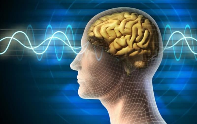 Cách rèn luyện sự tập trung cho não bộ hiệu quả nhất