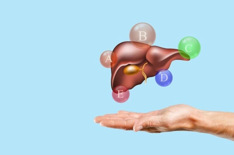Các chức năng của gan là gì? Chức năng nào quan trọng nhất?