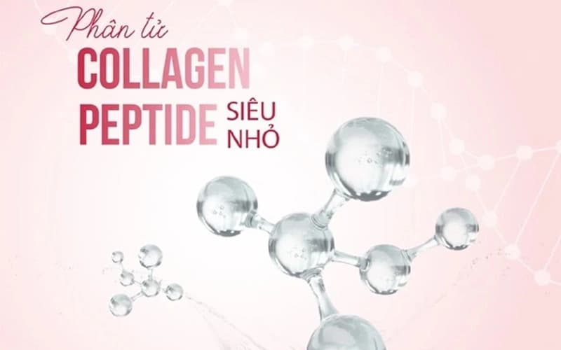 [Góc Giải Đáp] Collagen Dạng Nào Dễ Hấp Thụ Nhất 
