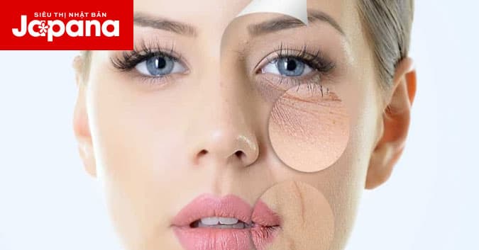 7 bí quyết giúp bạn ngăn ngừa lão hóa da
