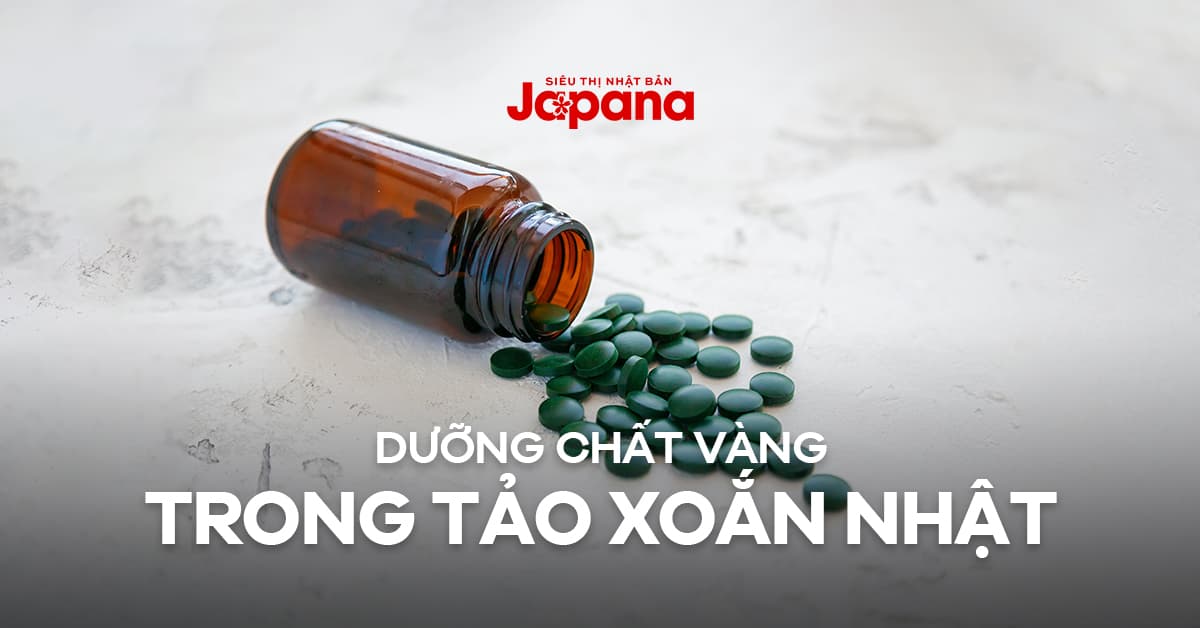 Thành phần dinh dưỡng có trong tảo xoắn Spirulina Nhật Bản