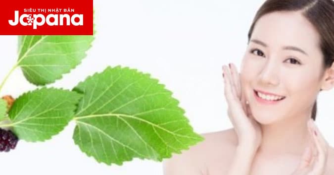 Hướng dẫn làm mặt nạ dâu tằm giúp da sáng mịn rạng ngời ở tuổi 40