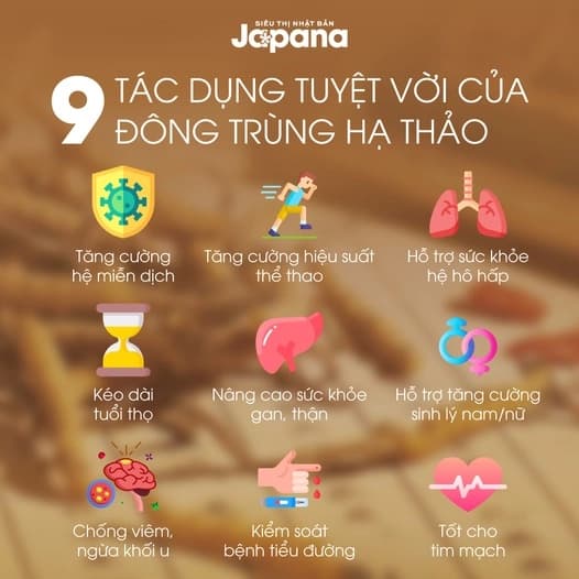 5 Công Dụng Nổi Bật Của Đông Trùng Hạ Thảo Đối Với Phái Nữ