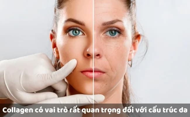 Bao Nhiêu Tuổi Nên Uống Collagen? Công Dụng Tuyệt Vời Của Collagen Không Thể Bỏ Qua!
