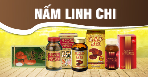 Nấm linh chi Nhật Bản