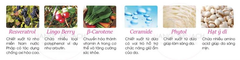 Viên uống nhau thai Fracora White’st Placenta 