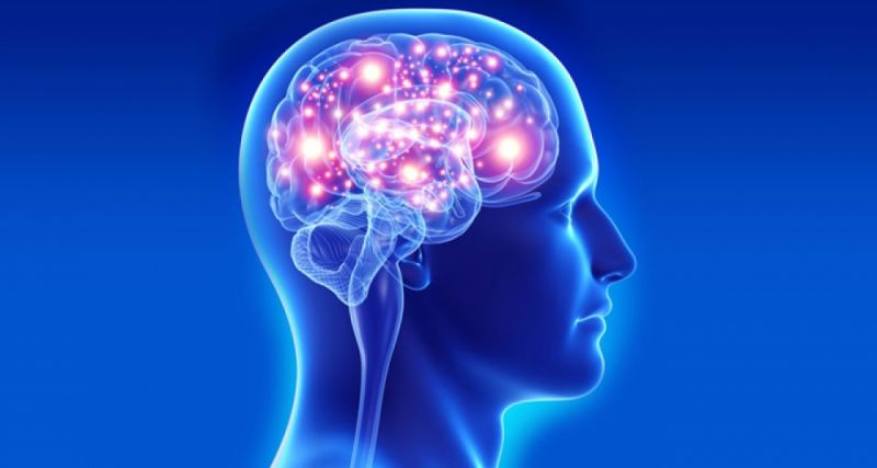Thuốc bổ não của Mỹ loại nào tốt nhất hiện nay 2021 - Bệnh Viện Tâm Thần  TP. HCM