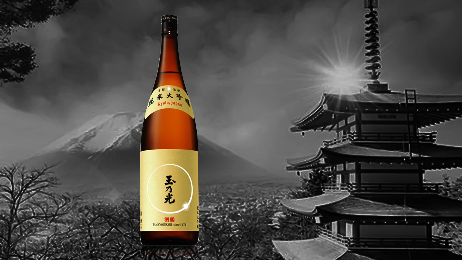 Rượu Sake Tamanohikari Junmai Daiginjo Shuho 1800ml