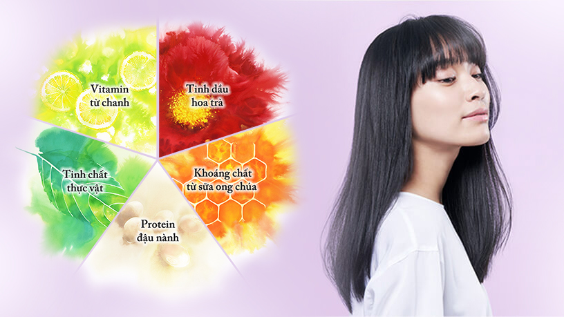 bộ dầu gội và dầu xả bồng bềnh chắc khỏe Shiseido Tsubaki Volume