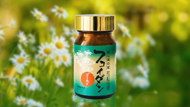 Viên uống hỗ trợ điều trị ung thư Fucoidan Gold Okinawa Ukondo 180 viên