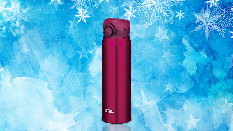 Bình nước giữ nhiệt Thermos JNR-600 600ml