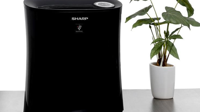 Máy lọc không khí bắt muỗi Sharp FP-GM30E-B
