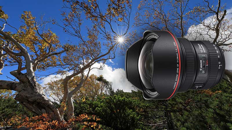 Ống kính máy ảnh Canon EF 11-24mm f/4L USM