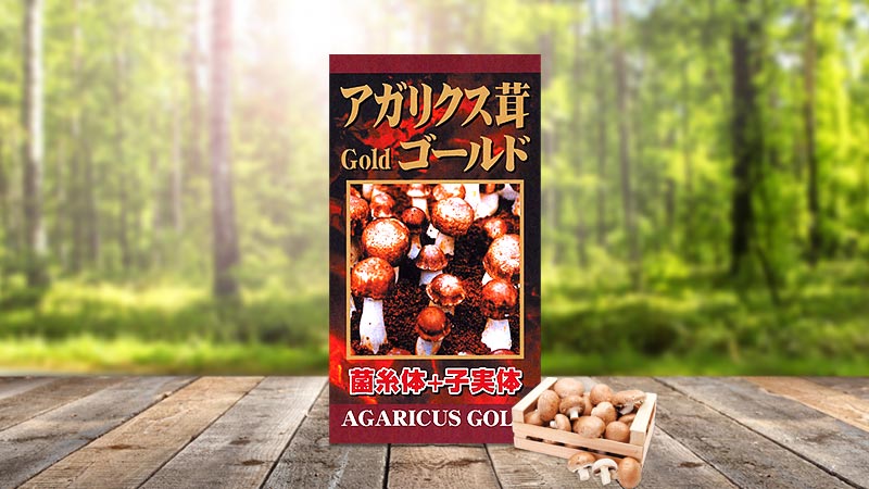 Nấm Agaricus Gold Yuki Pharma 300 viên