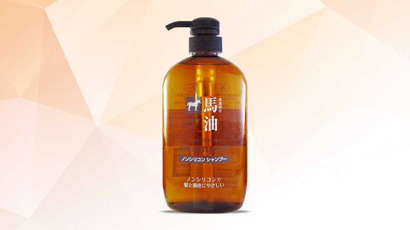 Dầu gội 2 trong 1 chiết xuất từ dầu ngựa Kumano Horse Oil 600ml