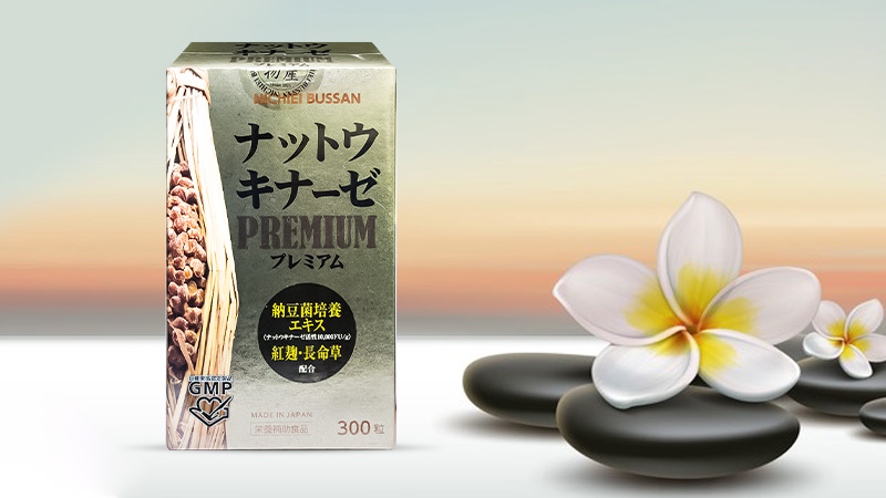 Viên uống hỗ trợ điều trị tai biến Nichiei Bussan Nattokinase Premium 10.000FU 300 viên