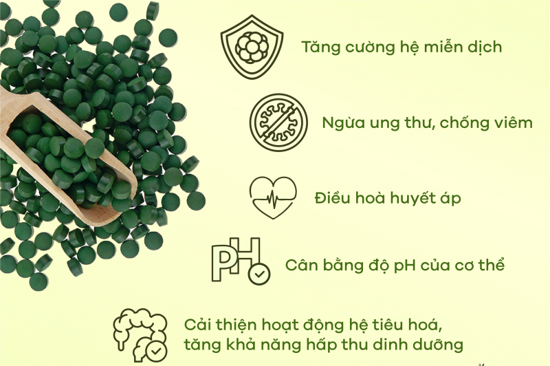 [Infographic] 10 công dụng tuyệt vời của tảo xoắn Spirulina