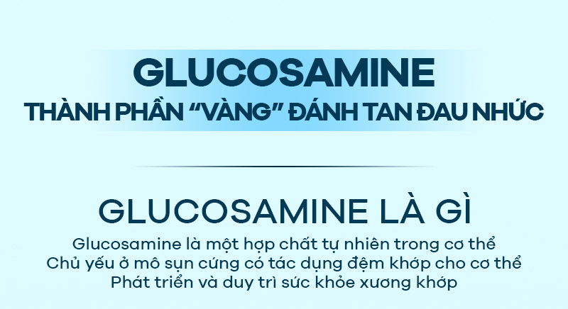 [Infographic] Glucosamine thành phần “vàng” đánh tan đau nhức xương khớp