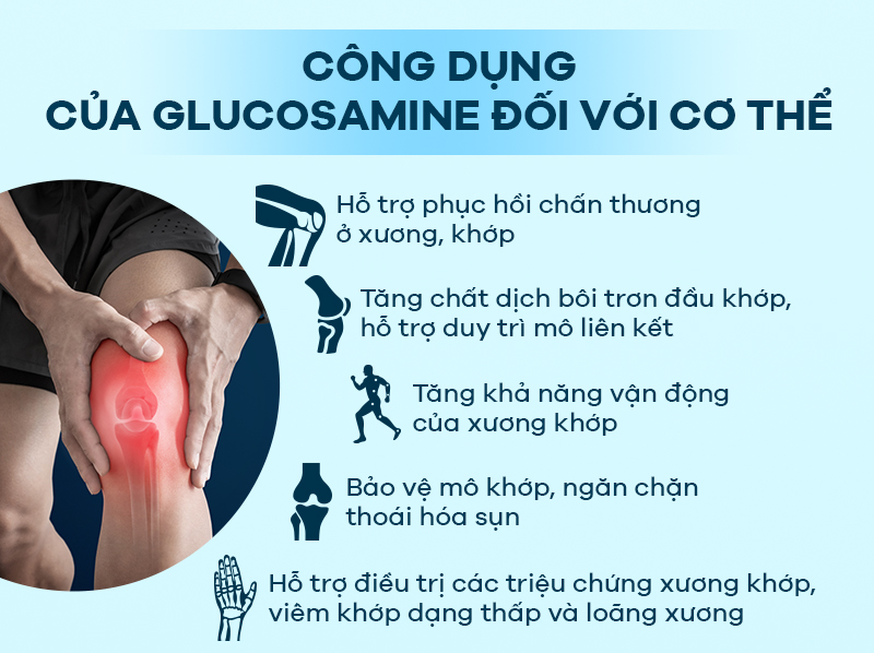 [Infographic] Glucosamine thành phần “vàng” đánh tan đau nhức xương khớp