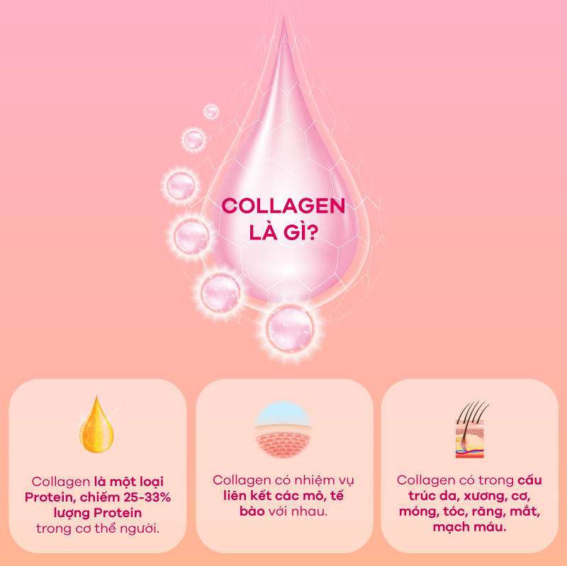 Khám phá 10 công dụng tuyệt vời của Collagen