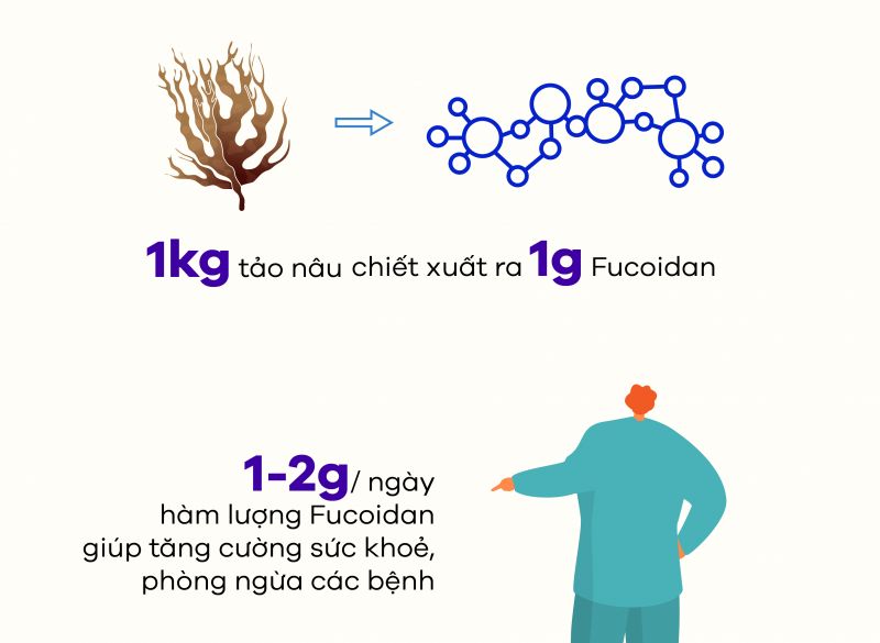 [Infographic] Fucoidan là gì? Thực hư công dụng phòng và điều trị ung thư của Fucoidan