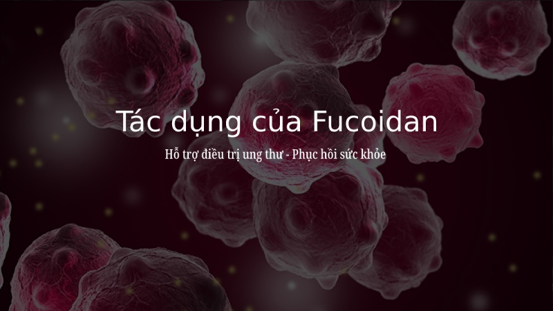 tac-dung-cua-fucoidan-doi-voi-co-the-con-nguoi