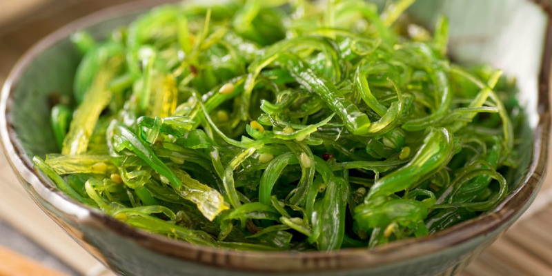 Người Nhật dùng Spirulina mỗi ngày như một món ăn và là bí quyết kéo dài tuổi thọ
