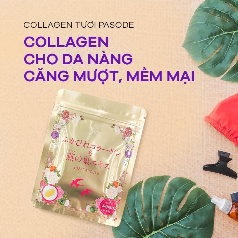 Top 7 Collagen tốt nhất hiện nay - Collagen tươi và tổ yến Pasode Nhật