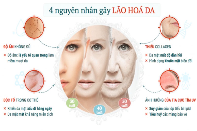 Nguyên nhân nào khiến da bị lão hóa?