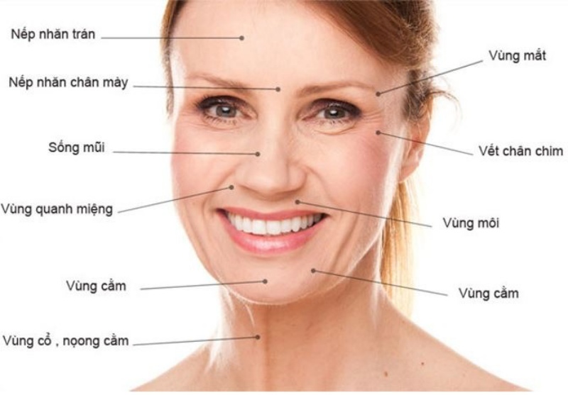 Các dấu hiệu lão hóa da.
