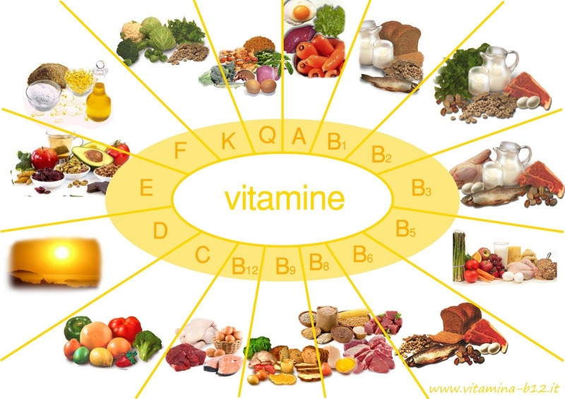 Các Vitamin cần thiết cho quá trình hồi phục da