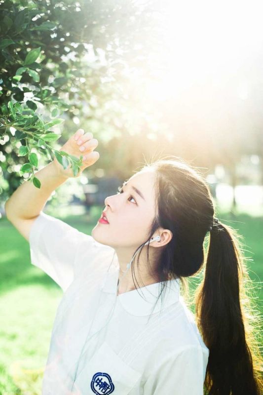 TRỊ SẸO HIỆU QUẢ