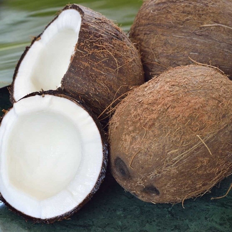 Dừa