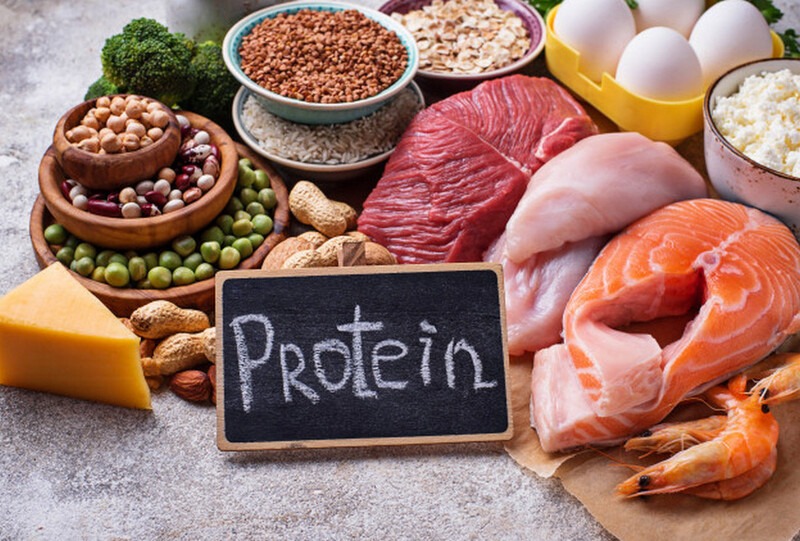 Protein là chất dinh dưỡng không thể thiếu để hình thành cơ bắp, dây chằng và xương