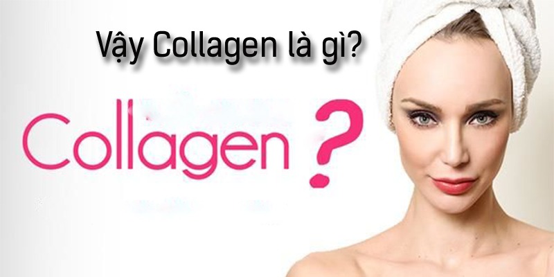 Collagen là thành phần gì?
