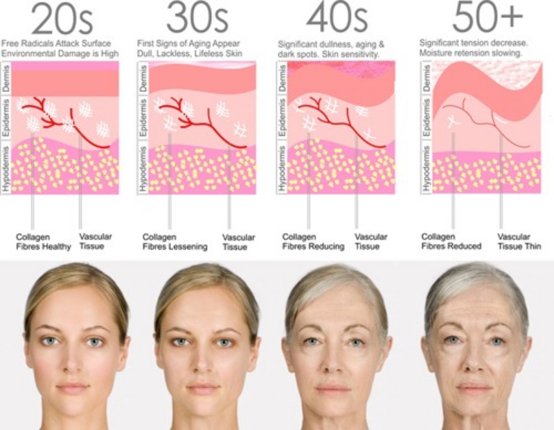 Quá trình mất đi lượng collagen khiến quá trình lão hoá diễn ra mạnh mẽ