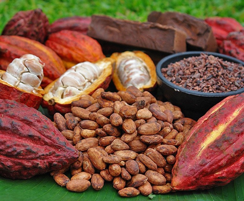 Công thức mặt nạ Cacao trị nám da