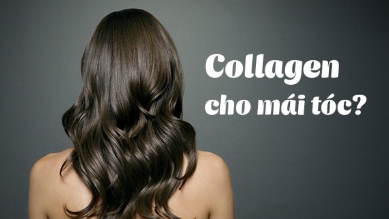 Bổ sung collagen giúp tóc chắc khỏe, ngăn ngừa rụng tóc