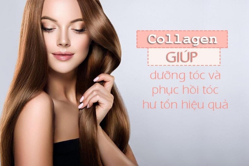 Collagen có trong chất sừng ở tóc và có tác dụng làm tóc mềm mượt chắc khoẻ