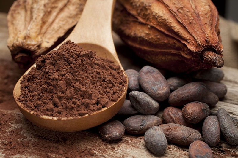 Cacao có khả năng chống viêm và chống Oxy hóa cho da