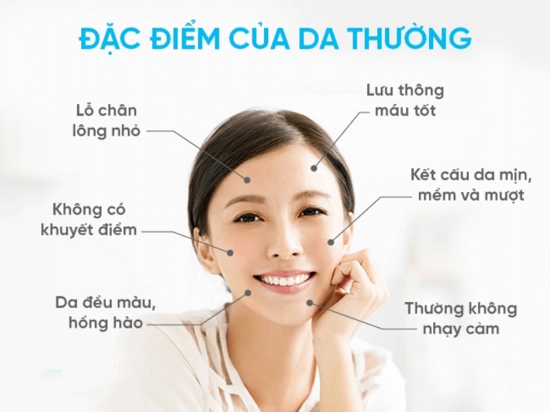 Đặc điểm của da thường