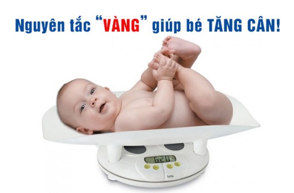 Nguyên tắc vàng giúp bé tăng cân