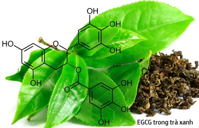 EGCG – Dưỡng chất mang lại nhiều lợi ích tốt cho da