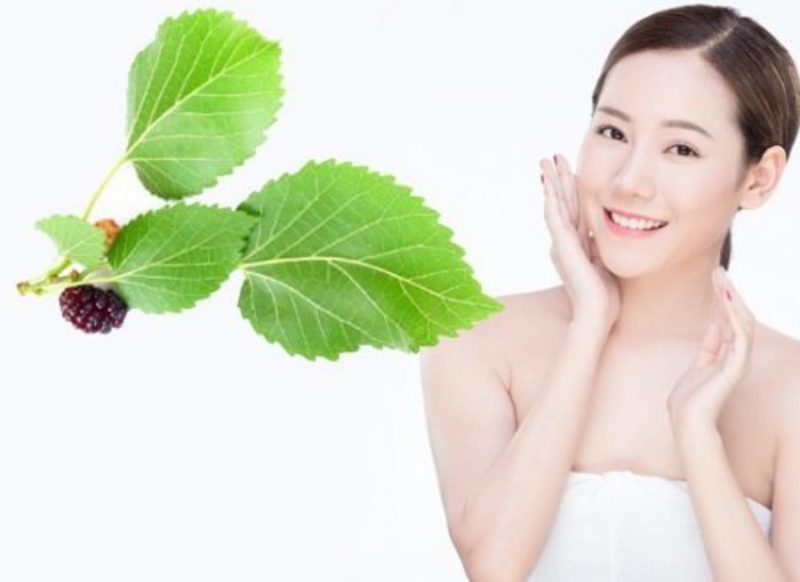 Dâu tằm rất có tác dụng trong việc làm đẹp da