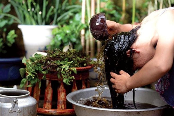 Gội đầu với bồ kết