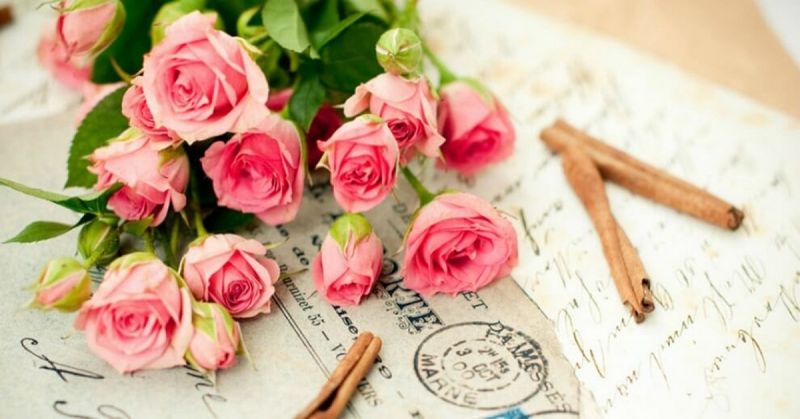 hoa hồng tươi thắm dành tặng thầy cô