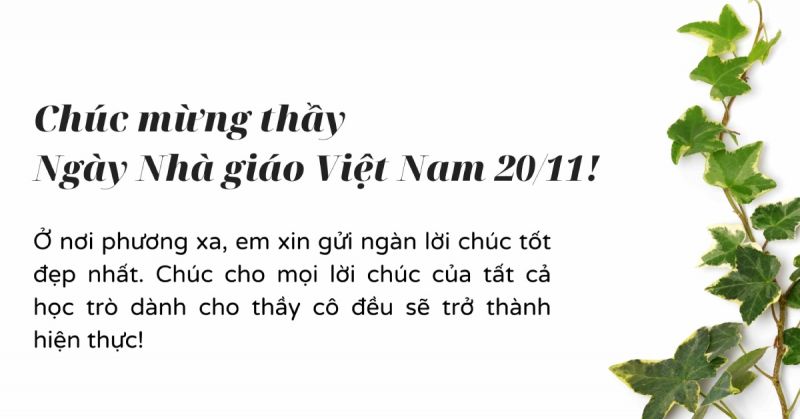 Lời chúc 20/11 ý nghĩa và cảm động nhất